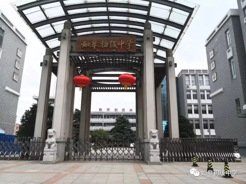 网站建设：从零开始到专业网站的全过程